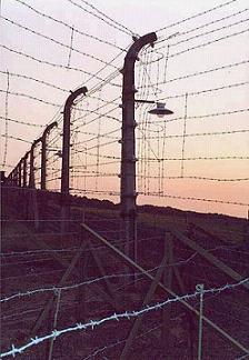 Barbelés à Buchenwald - Photo Erwan le Vourch
